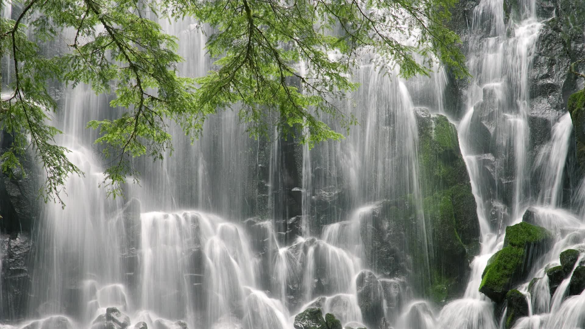 世界游泳全国青少年积分赛数据可视化报告上线，世界游泳积分排名