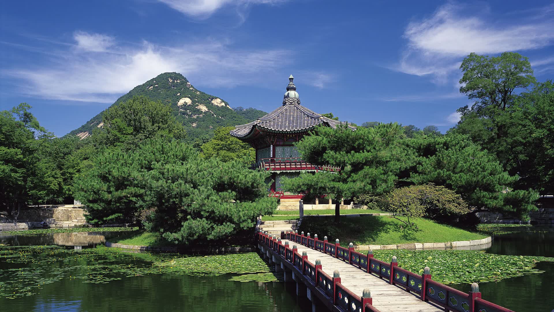 世界游泳接力技术统计平台国际标准对接进展第3期通告，2021游泳接力赛
